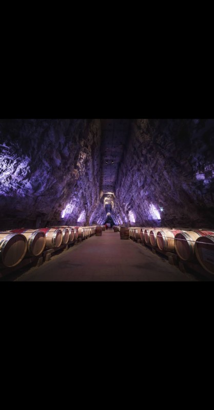 Balade , découverte  Portel des Corbières  Terra Vinea 